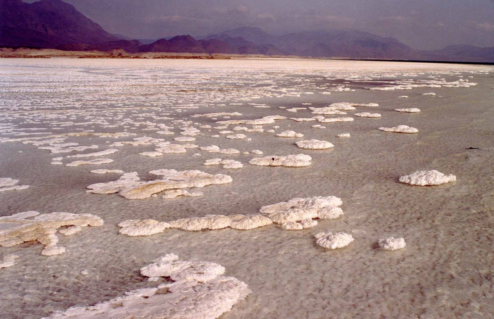 Соленые водоемы 5 класс. Соленое озеро Ассаль. Котловина озера Ассаль. Озеро Ассаль Африка.